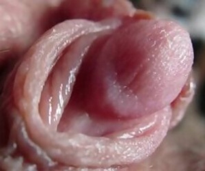 Free Sex Porn Close Up - Close Up Sex Videos - Free Hardcore Porn Movies