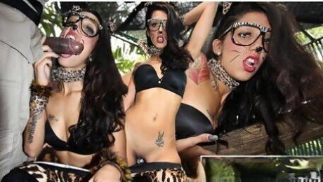 Naked Hustlers featuring Stefania Mafra's cat woman fucked dirt